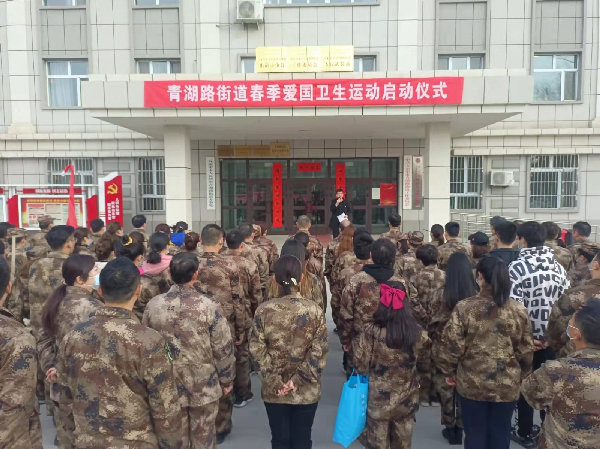 青湖路街道爱国卫生运动启动仪式