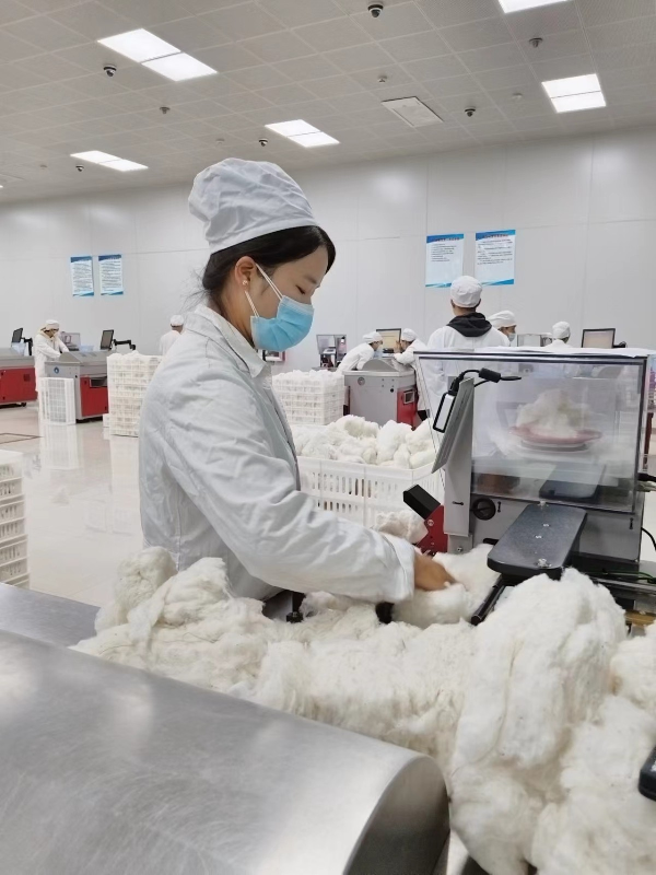中国棉花公证检验五家渠实验室检验量 35天达到15万吨