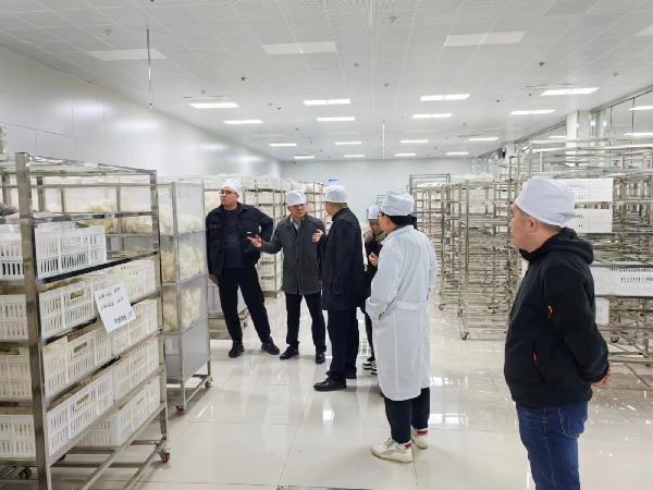 五家渠棉花公检实验室与昌吉实验室开展业务交流活动