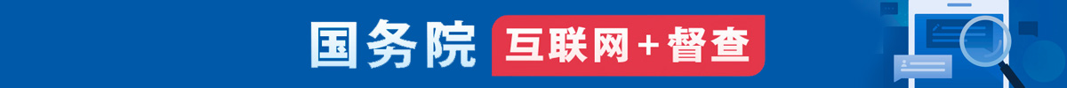 国务院互“联网+督察”