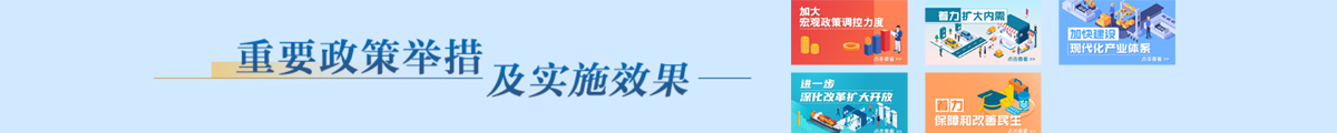 重要政策举措及实施效果